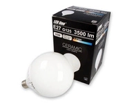 LED line E27 170-250V 35W 3500LM 2700K G125 | warm bulb