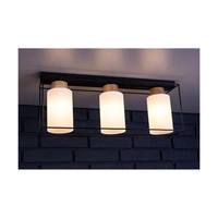 Lampa Sufitowa Gretter 3xE27 Max.60W Dąb Olejowany/Czarny Metal/Białe Szkło 4030418620762