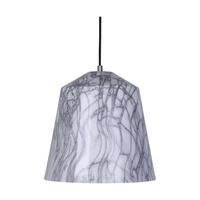 Natura Pendant Lamp 1xE27 Max.60W Chrome Metal/Black PVC Cable/Gray-White Metal 9801128