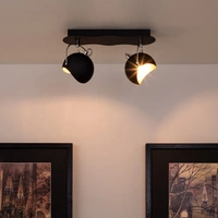Kana Ceiling Lamp 2xG9 Max.28W Black Metal/Gold Metal 2722204