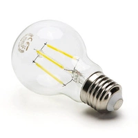 LED FILAMENT A60 E27 4W cold 6500K bulb