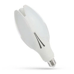 PARISIENNE 30W E-27 IP20 4000K LED street light bulb